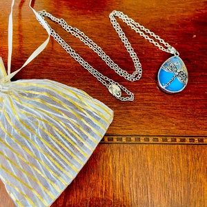 🌟Dragonfly silver-tone necklace